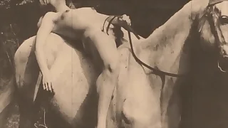 Vintage Taboo&comma; Pussy & Pooch